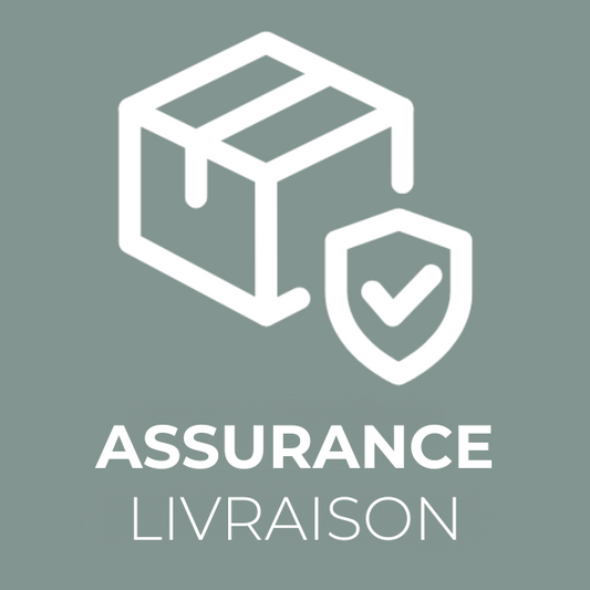 Assurance Tout risques